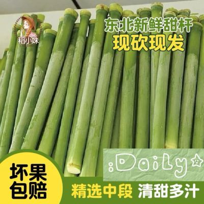顺丰东北爆汁甜杆小甘蔗新鲜甜杆味道甘蔗新鲜青皮薄皮爆款3斤