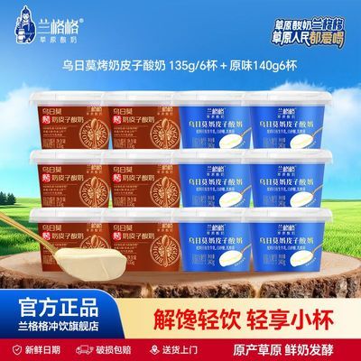 【兰格格】草原酸奶 奶皮子酸奶140g6杯 烤奶皮子酸奶135g6杯学生早餐