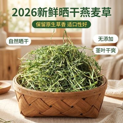26年优选晒干燕麦草大容量更实惠荷兰猪豚鼠兔草饲料无霉变绿燕麦