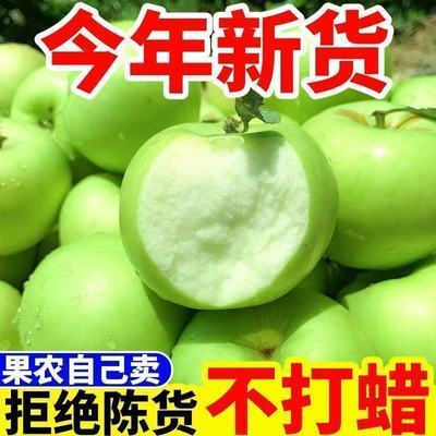 头茬苹果青苹果当季新鲜应季水果酸甜现摘孕妇包邮整箱小苹果批发