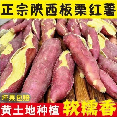 【黄土地种植】正宗陕西板栗红薯新鲜现挖香甜黄心地瓜蜜薯农家货