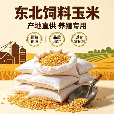 10玉米粒新鲜鸡鸭批发清仓饲料钓鱼养殖鸽子打窝颗粒大包优惠商品图片