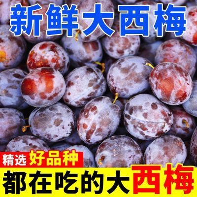 【彩箱】新鲜西梅重庆应季新鲜水果鲜西梅果正宗酸甜特大西梅薄皮