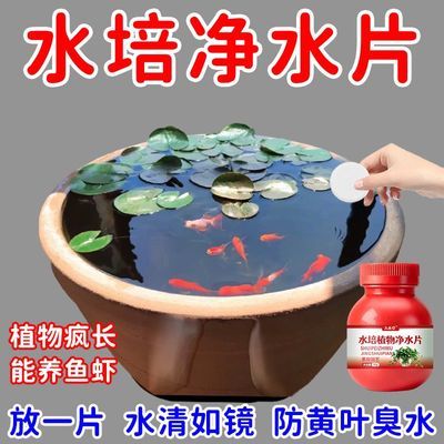 水培植物净水片改善臭水浑水护根生长水培植物花卉碗莲富贵竹通用