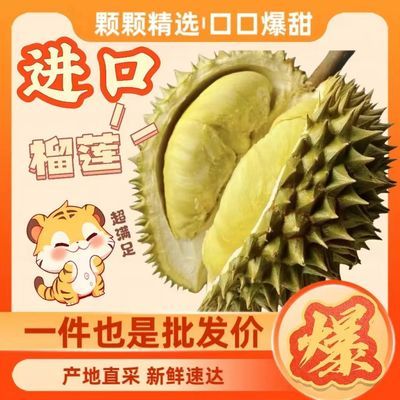 金枕鲜果泰国正宗枕头榴莲新鲜应季带壳整果整个进口现货水果批发优惠商品图片