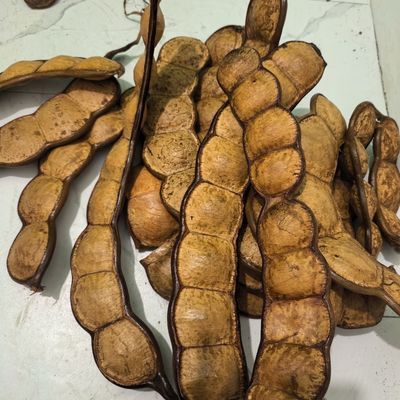 豆荚娃娃料榼藤豆荚云南大豆幼儿园手工diy网红爆款摆摊果壳风铃