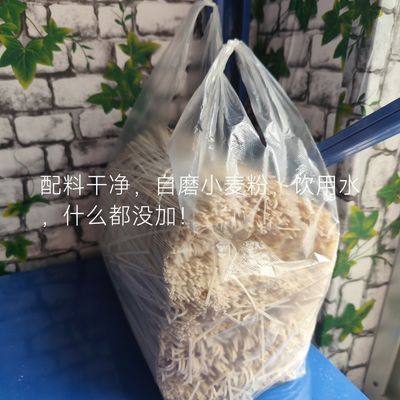 自磨小麦粉面条,麦芯麦芽全部保留,自然晾晒,无盐无碱,没有其他【5天内发货】优惠商品图片