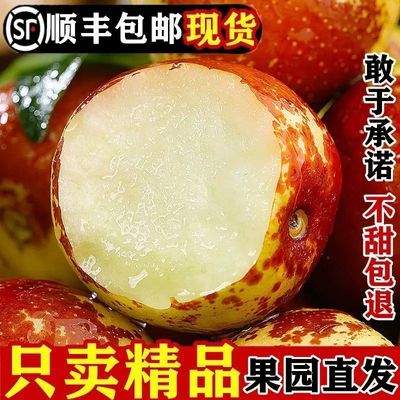 特级大果陕西大荔冬枣现摘冰糖脆甜鲜枣当季水果顺丰包邮包脆包甜优惠商品图片