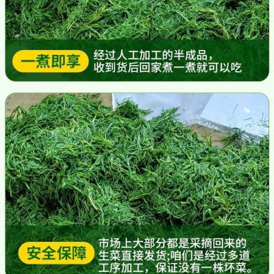 【河北特产】黄须菜新鲜野菜盐地碱蓬当季凉拌包饺子凉拌菜火锅优惠商品图片