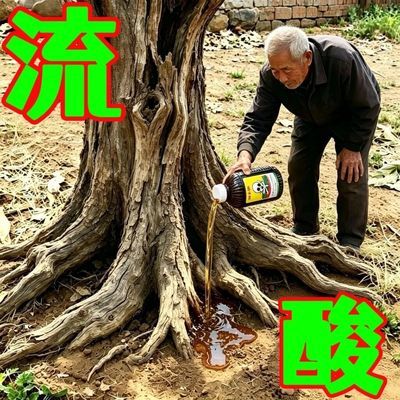 正品新款除构树榆树杨树刺槐樟树灌木强渗透剂草铵膦通用型优惠商品图片