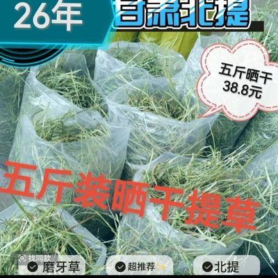 岷县晒干提摩西干草兔兔龙猫荷兰猪牧草豚鼠主粮兔干草兔子磨牙