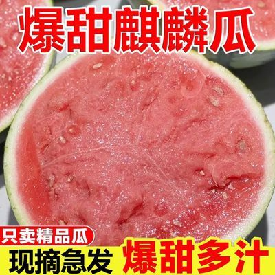 麒麟西瓜当季新鲜水果8424美都西瓜现摘薄皮有籽脆甜多汁优惠商品图片
