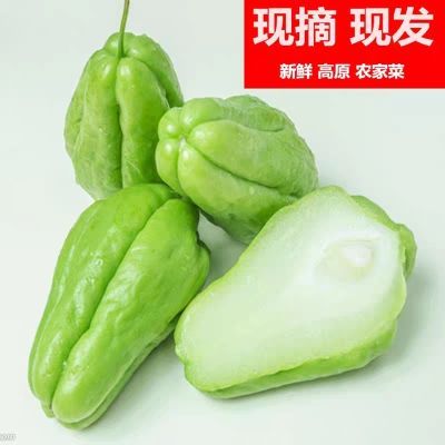 9斤云南佛手瓜新鲜批发蔬菜洋丝瓜现摘现发农家自种应季蔬菜