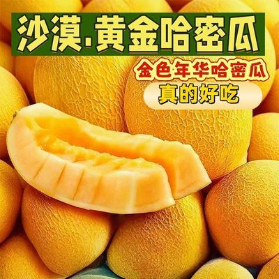 正宗沙漠黄金哈密瓜4斤 5.5元 - 线报酷
