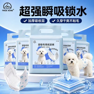狗狗纸尿裤公狗尿不湿小型犬安心瞬吸母狗生理裤大型宠物泰迪比熊