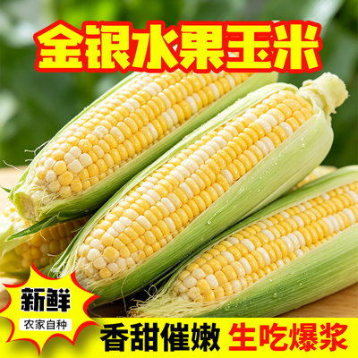 5斤装云南金银花双色水果甜玉米嫩玉米甜脆爆浆可生吃现摘保鲜膜