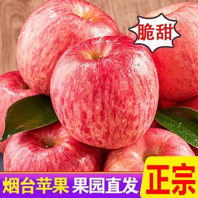 【彩箱】正宗烟台苹果红富士栖霞脆甜当季新鲜苹果水果批发一整箱