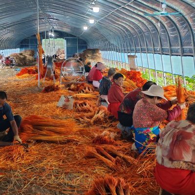 厂家直销没有中间商套袋子一万支橙色大麦花篮