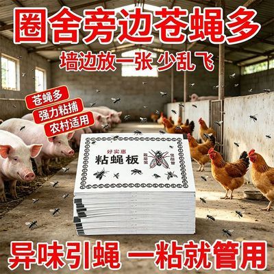 强力苍蝇贴灭苍蝇神器捕蝇粘蝇纸粘虫板无毒家用苍蝇克星批发