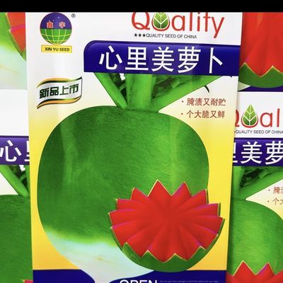 正宗心里美萝卜籽个大脆又鲜10克秋季耐高温耐寒懒人优惠商品图片