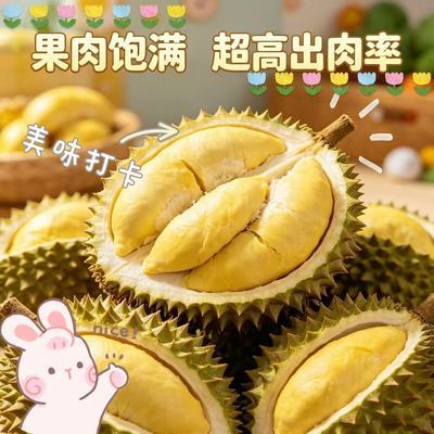 【超值热卖】正宗进口金枕头榴莲精品鲜果新鲜带壳热带水果批发