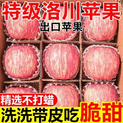 【洛川直发地标认证】正宗洛川苹果红富士脆甜新鲜苹果水果一整箱
