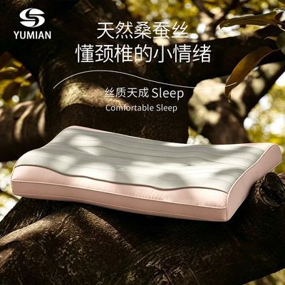 与眠天丝蚕丝枕头护颈椎助睡眠枕芯A类抑菌护颈有机蚕丝枕芯新优惠商品图片