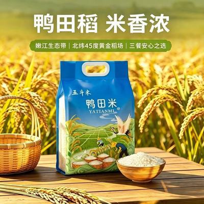 黑龙江齐齐哈尔大米泰来优选长粒香米当季新米5kg原生态鸭田稻优惠商品图片