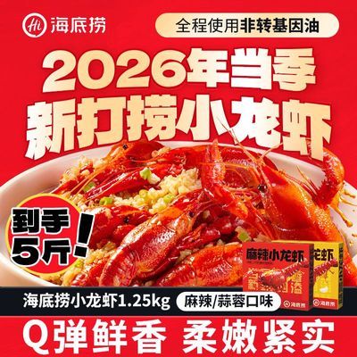 海底捞小龙虾加热速食夜宵非虾尾26年整虾麻辣蒜蓉1.25kg2盒共5斤