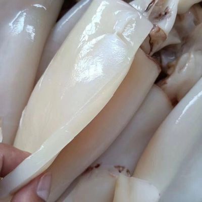 去皮鱿鱼大鱿鱼去内脏烧烤饭店爆炒新鲜3斤/10斤无泡药商用批发优惠商品图片
