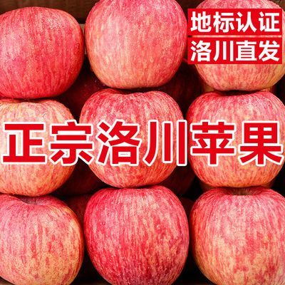 【地标授权洛川直发】正宗洛川苹果红富士新鲜苹果水果批发一整箱