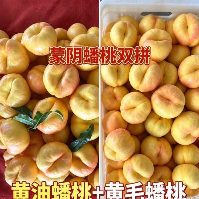 正宗黄金毛蟠桃和彩虹蟠桃双拼脆甜新鲜蜜桃产地直发现采现摘