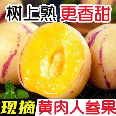 彩箱5斤 云南树熟人参果黄心黄肉圆果新鲜采摘当季应季水果
