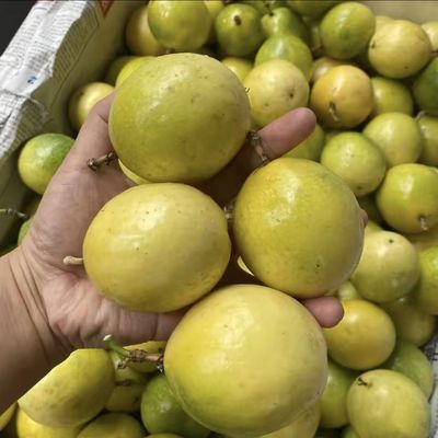 正宗黄金百香果钦蜜9号整箱35-40个(30-45g/个)果园直批
