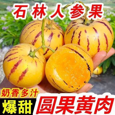【彩箱5斤大果】云南石林人参果圆果当季新鲜黄肉人生果应季水果