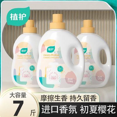 香水洗衣液香味持久留香浓缩香氛洗衣液家用整箱大瓶装去污樱花香优惠商品图片