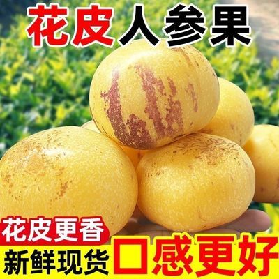 【花皮果】口感好石林黄心人参果新鲜应季圆果多汁水果整箱批发