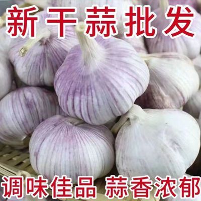 批发冲量河南紫白皮大蒜新干蒜新鲜大蒜头批发整箱种子便宜优惠商品图片