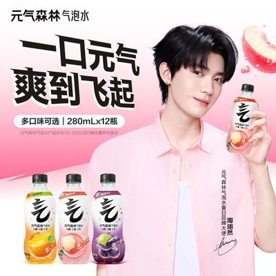 【活动】元气森林气泡水280ml*12瓶0糖0脂0卡碳酸饮料汽水优惠商品图片