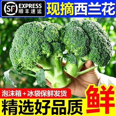 顺丰新鲜西蓝花西兰花绿花菜沙拉菜当季蔬菜农家种植现摘现发