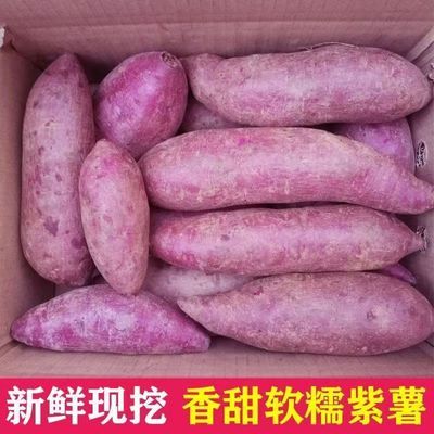 5斤正宗紫薯沙地紫罗兰番薯地瓜当季蔬菜农家自种新鲜现挖产地发