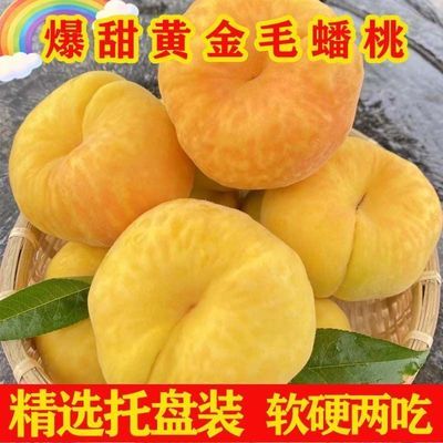 团现货现摘新鲜蒙阴黄蟠桃当季孕妇脆甜多彩虹油桃子山东时令水果