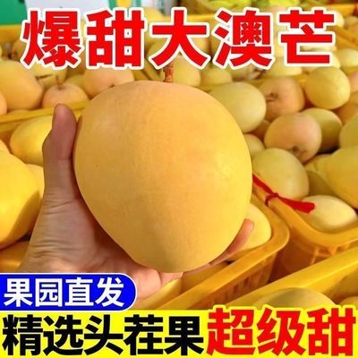 正宗云南澳芒新鲜彩虹当季苹果芒当季大青芒果凯特水果批发整箱
