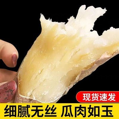 5 斤宝宝嫩果白瓤地瓜正宗哈密冰糖薯新鲜现挖白心糖心蜜薯红薯优惠商品图片