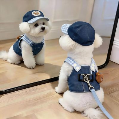 狗狗春秋宠物胸背牵引衣狗狗猫咪衣服可爱小熊牛仔胸背比熊可牵引
