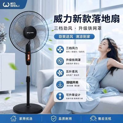 金正落地扇家用大风力立式电风扇静音摇头定时宿舍办公室升降风扇
