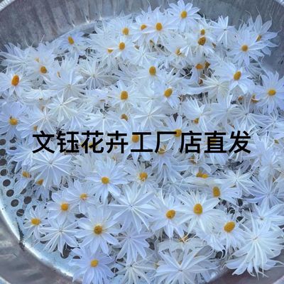 80头文心兰花头送20头防破损干花文心兰小滨菊花头小清新手工制作