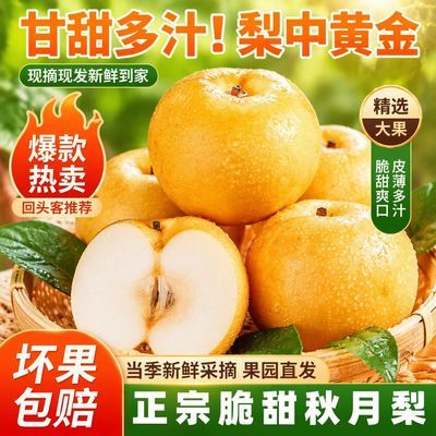 正宗山东秋月梨梨子净重8.5/4.5斤当季应季新鲜水果整箱 脆甜无渣优惠商品图片