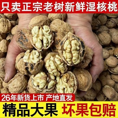 【5斤装】云南去青皮老树新鲜湿核桃云南核桃鲜饱满薄皮孕妇核桃
