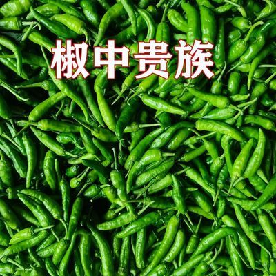 椒中贵族小辣椒新鲜农家自种薄皮辣椒头茬带弯批发优惠商品图片